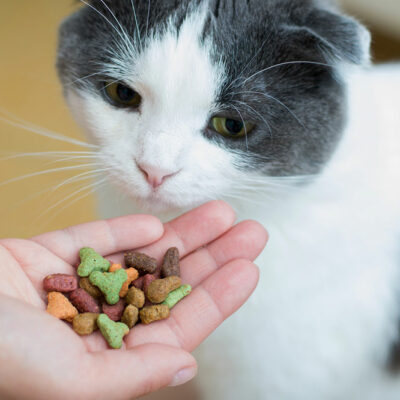 7 Tips for Buying Healthy Cat Treats